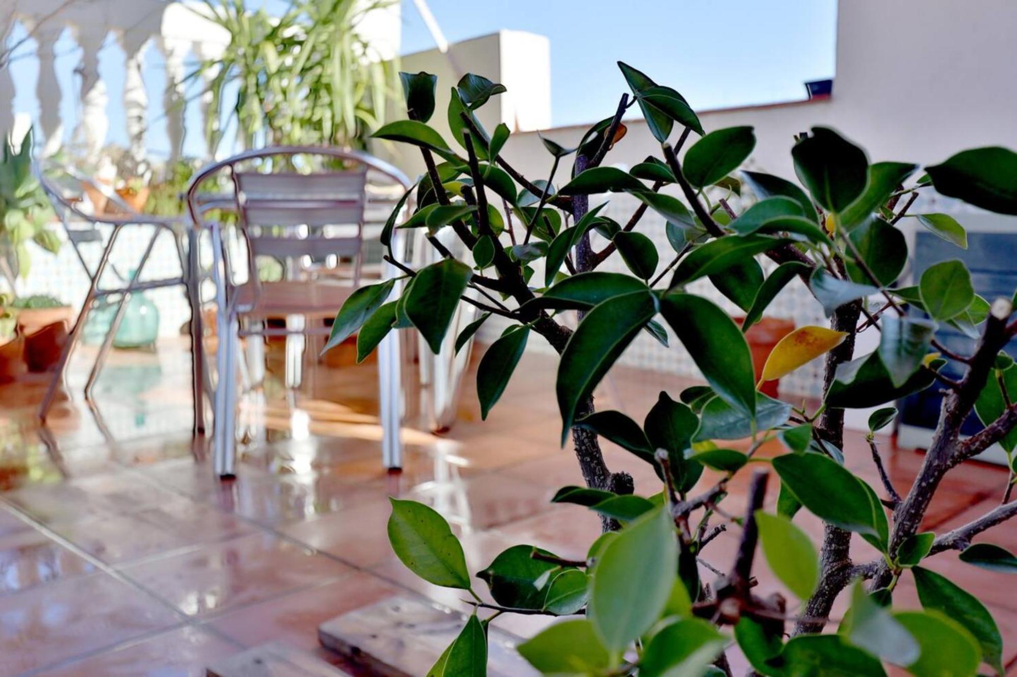Atico Con Terraza En Pleno Centro Apartment Cordoba Luaran gambar
